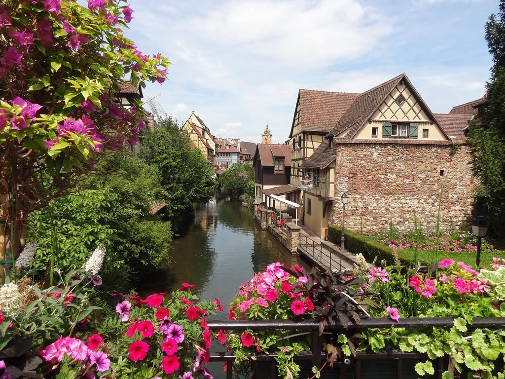 My Sweet Homes - Appartements Avec Spa Colmar Rom bilde